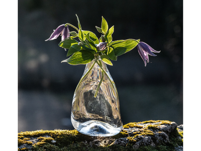 JÄÄHELMI single flower vase
